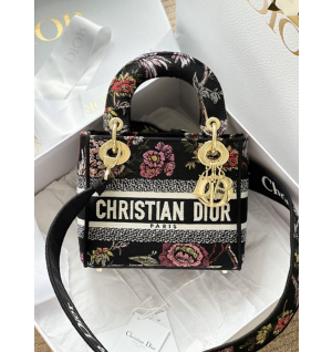 디올 레이디 D-Lite 미니 백