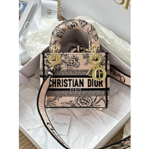 디올 레이디 D-Lite 미니 백