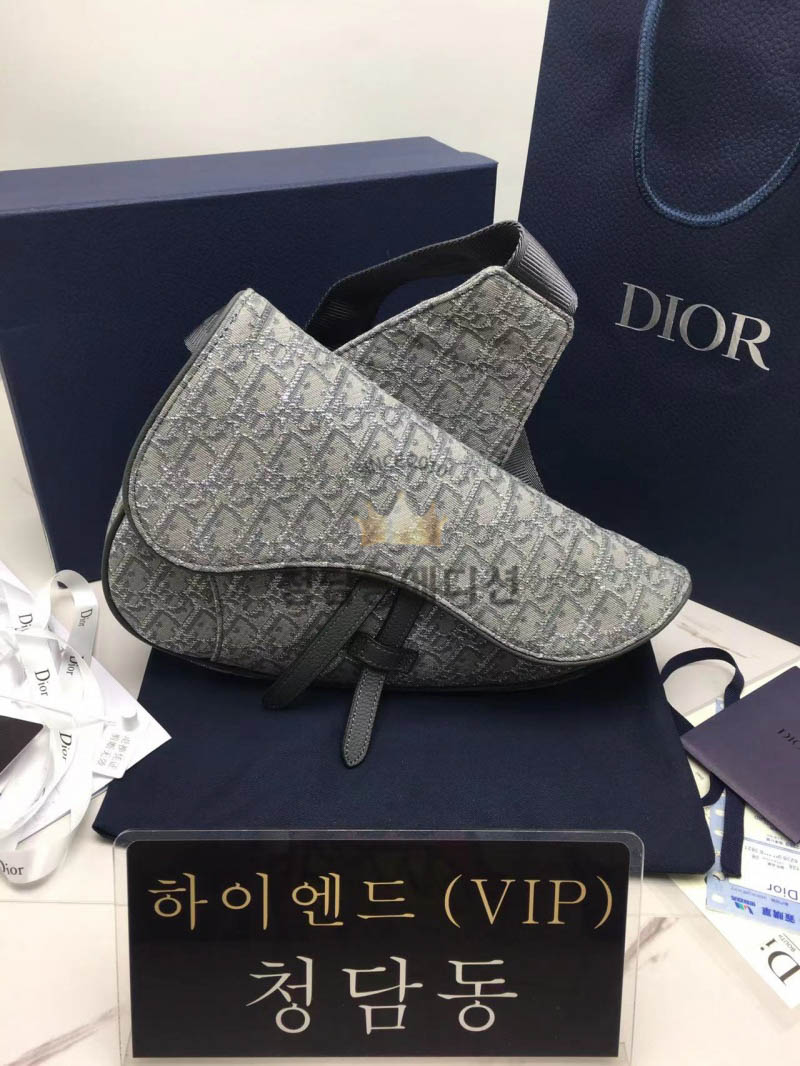 디올 오블리크 새들백 스몰