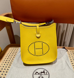 에르메스 에블린 미니 올수공 (컬러 존 드 나플)