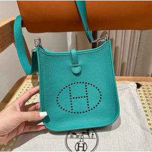 에르메스 에블린 미니 올수공 (컬러 베르 베로느)