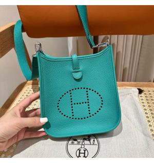 에르메스 에블린 미니 올수공 (컬러 베르 베로느)