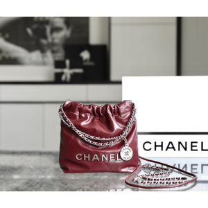 샤넬 23A 22백 미니