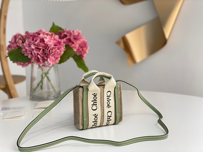 끌로에 우디백 나노