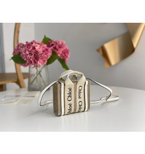 끌로에 우디백 나노