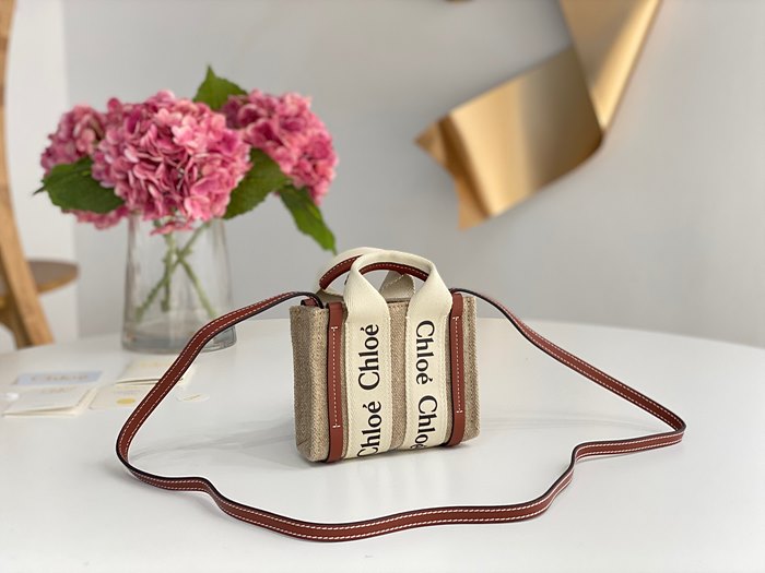 끌로에 우디백 나노