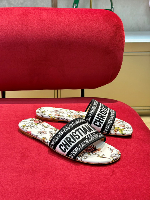 디올 디웨이 슬라이드