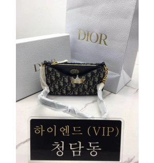 디올 30몽테인 에비뉴 호보백