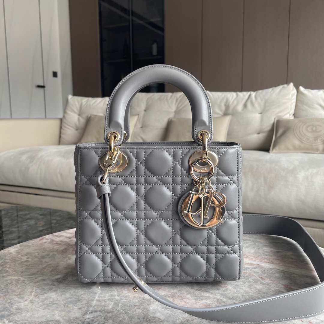 디올 레이디백 MY ABC (upgrade ver.)