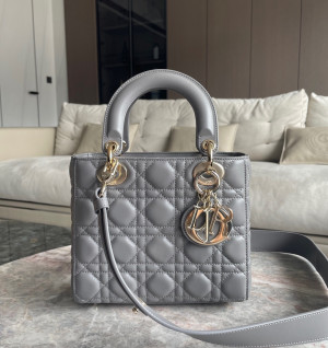 디올 레이디백 MY ABC (upgrade ver.)