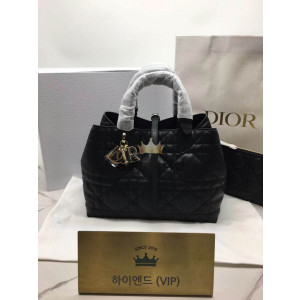 디올 뚜주흐 미디움 백