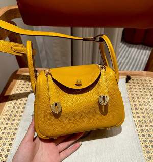 에르메스 미니 린디 올수공 (컬러 존 엠브레)