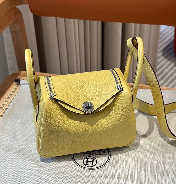 에르메스 미니 린디 올수공 (컬러 존 푸셩)