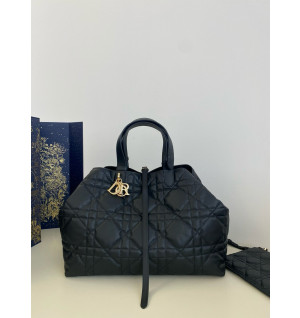 디올 뚜주흐 라지 백