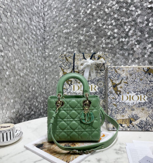 디올 램스킨 레이디백 MY ABC