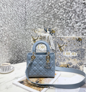 디올 램스킨 레이디백 MY ABC