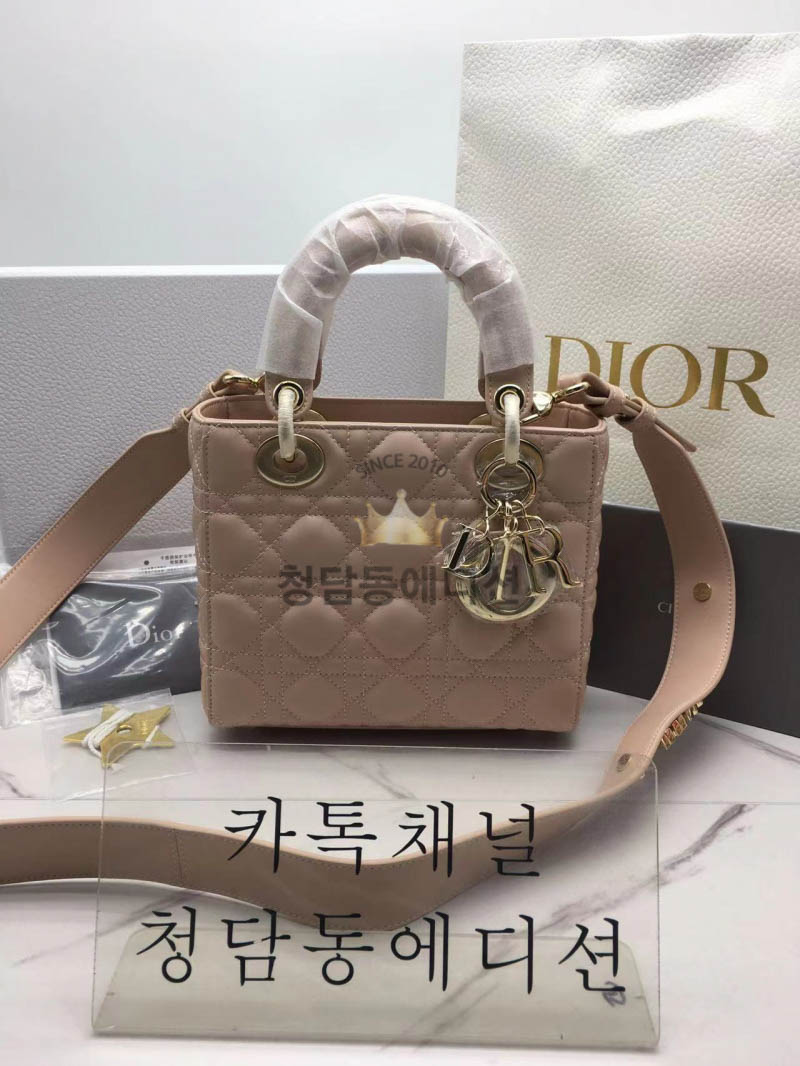 디올 램스킨 레이디백 MY ABC