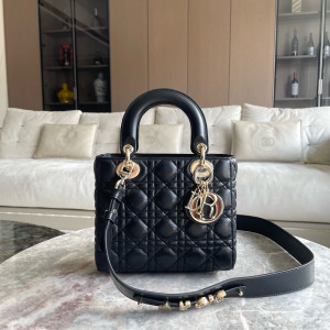 디올 램스킨 레이디백 MY ABC