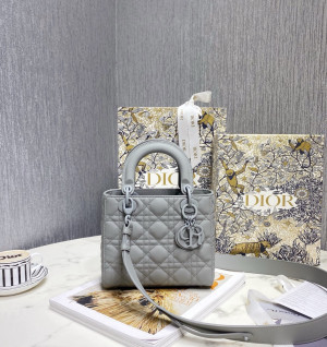 디올 울트라매트 레이디백 MY ABC