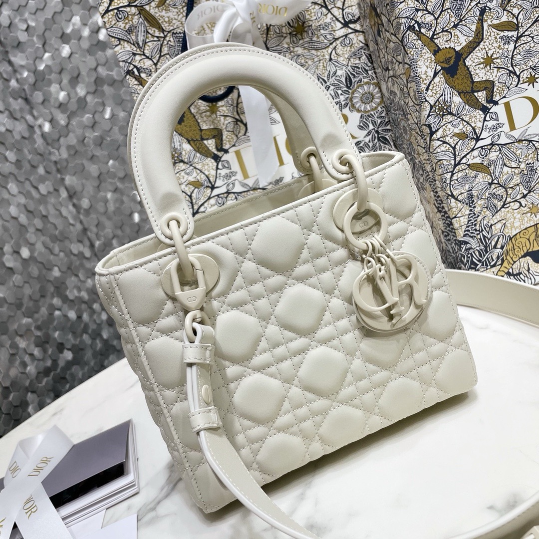 디올 울트라매트 레이디백 MY ABC