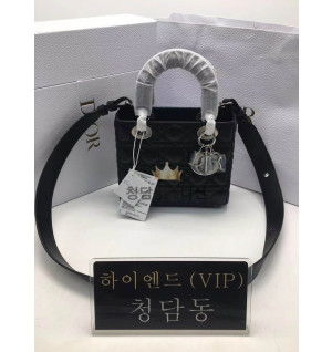 디올 레이디백 스몰 (램스킨) (upgrade ver)