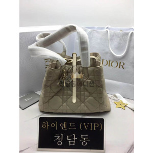 디올 뚜주흐 미디움 백 (upgrade ver.)