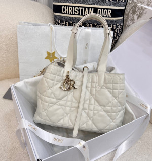 디올 뚜주흐 미디움 백 (upgrade ver.)