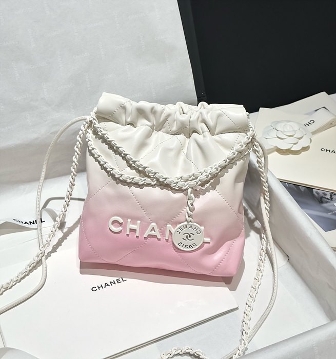 샤넬 24S 22백 미니