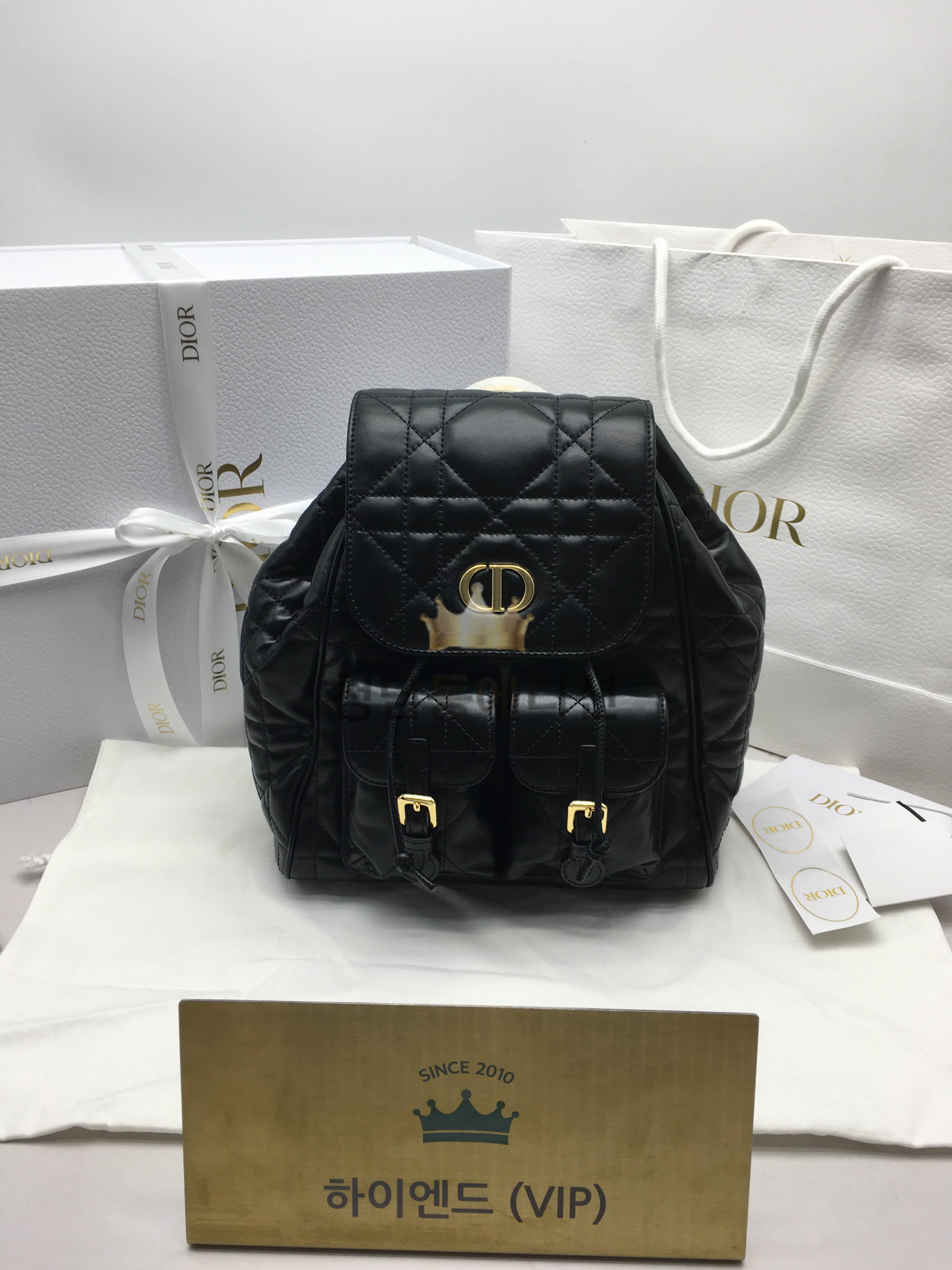 디올 카로 백팩 미디움