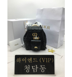 디올 카로 백팩 스몰