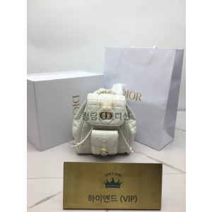 디올 카로 백팩 스몰