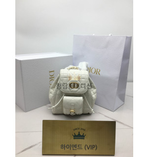 디올 카로 백팩 스몰