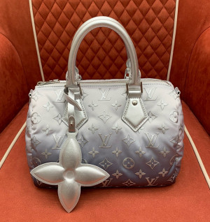 루이비통 스피디 반둘리에25 M11848