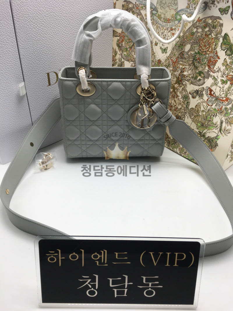 디올 레이디백 스몰 (upgrade ver)