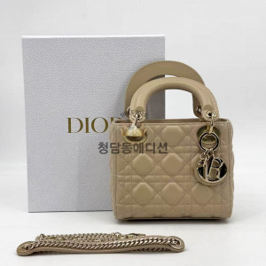디올 레이디백 미니 (램스킨)