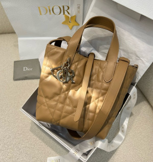 디올 뚜주흐 버티컬 스몰 토트백 숄더 크로스백 (upgrade ver.)