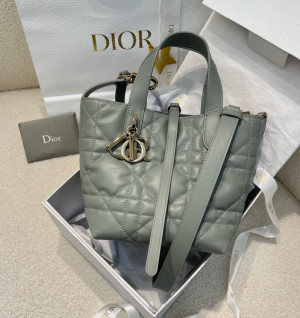 디올 뚜주흐 버티컬 스몰 토트백 숄더 크로스백 (upgrade ver.)