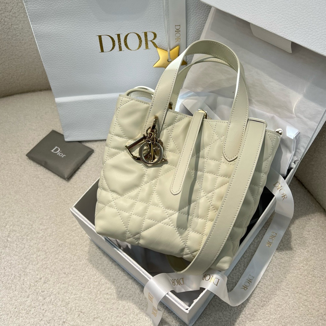 디올 뚜주흐 버티컬 스몰 토트백 숄더 크로스백 (upgrade ver.)