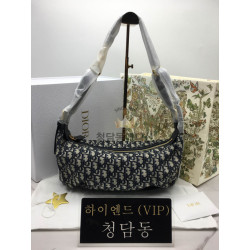 디올 디저니 미디움 백