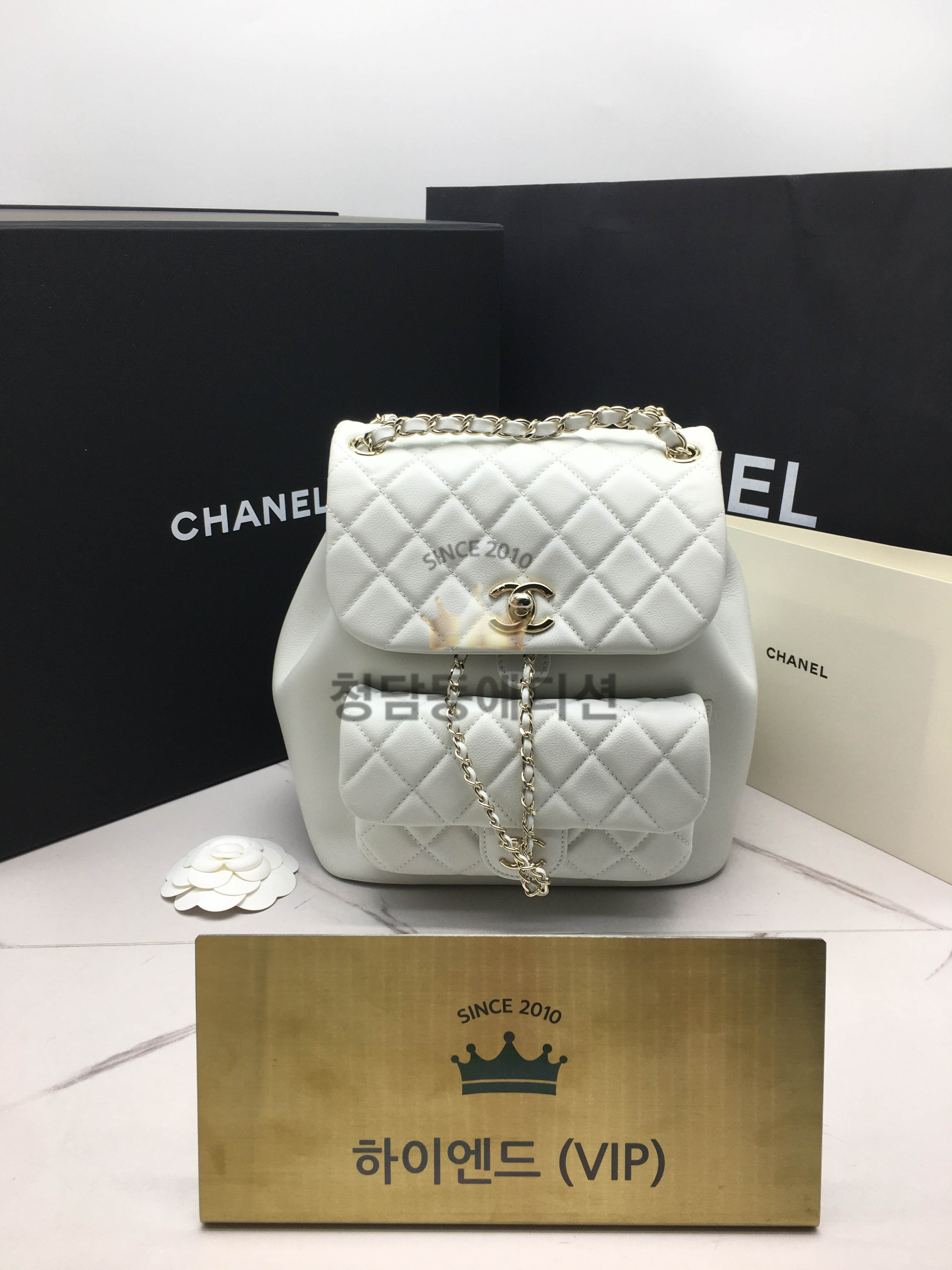 샤넬 22C 듀마 백팩 미디움 카프스킨