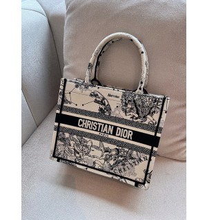 디올 북토트백 스몰