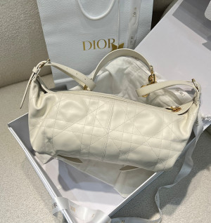 디올 디저니 미디움 백