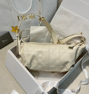 디올 디저니 스몰 백