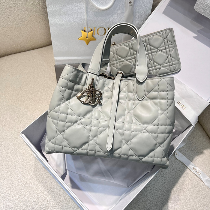 디올 뚜주흐 미디엄 백 (upgrade ver.)