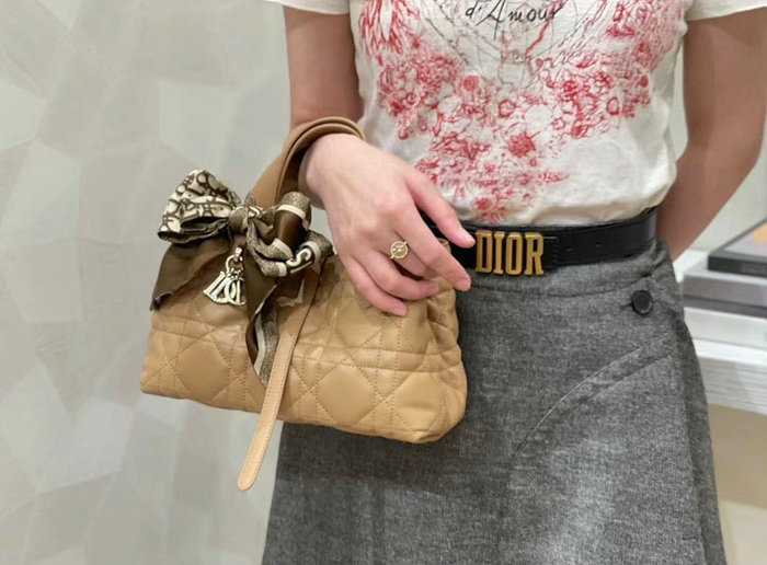 디올 뚜주흐 스몰 백 (upgrade ver.)