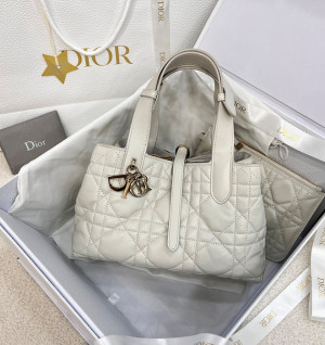 디올 뚜주흐 스몰 백 (upgrade ver.)