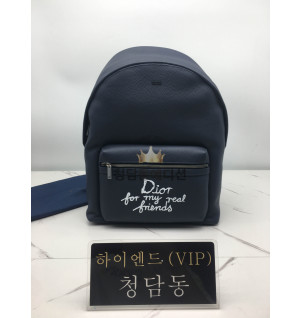 디올 AND HYLTON NEL RIDER 2.0 지퍼 백팩