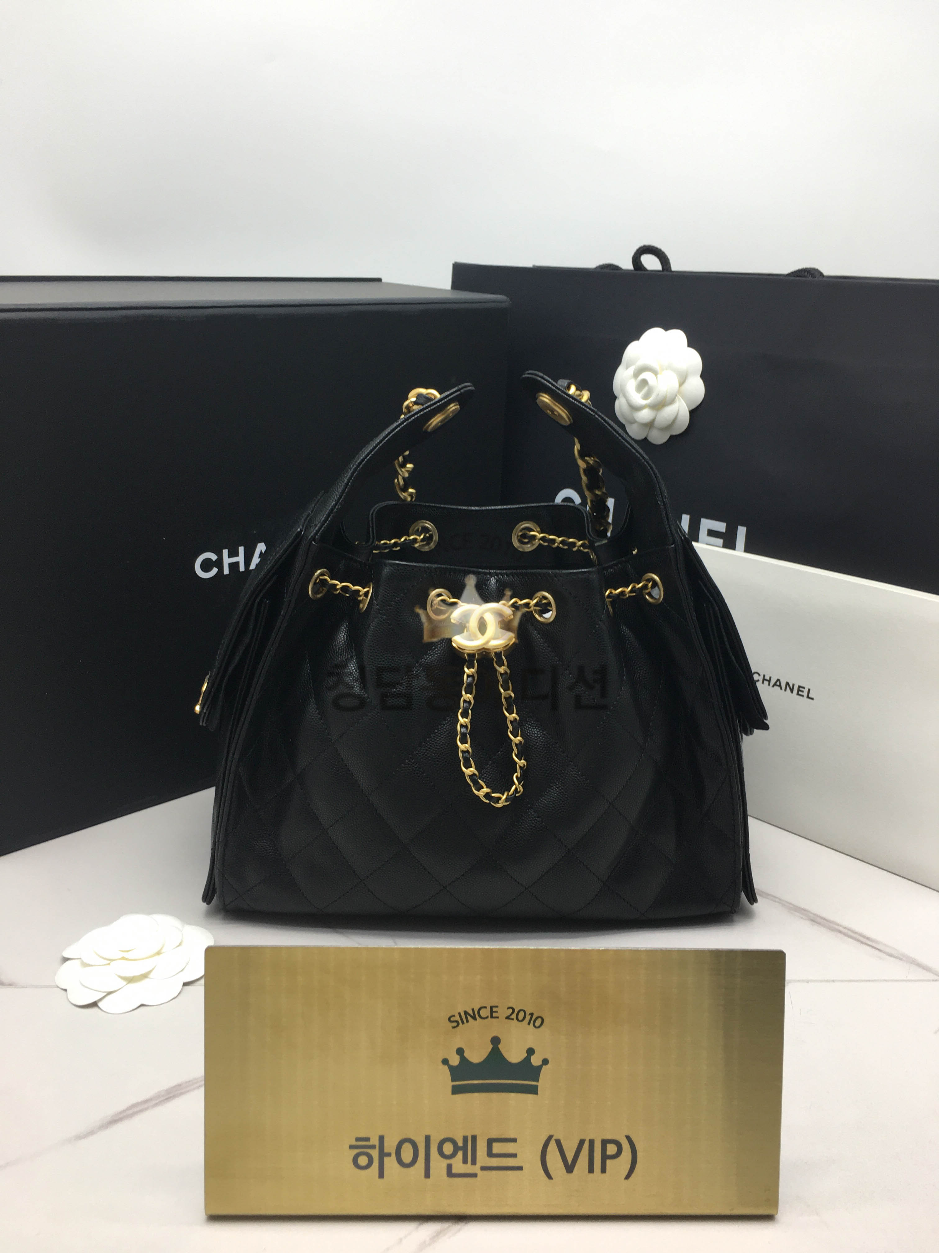 샤넬 25C 크루즈 뉴 호보백 캐비어 스몰 (25백)