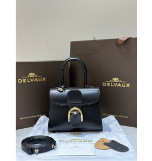 델보 브리앙 미니