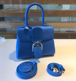 델보 브리앙 미니